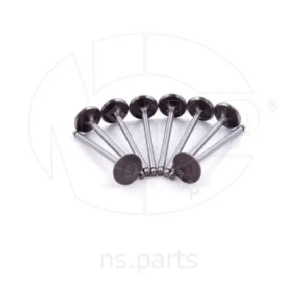 Впускной клапан NSP NSP0196182806