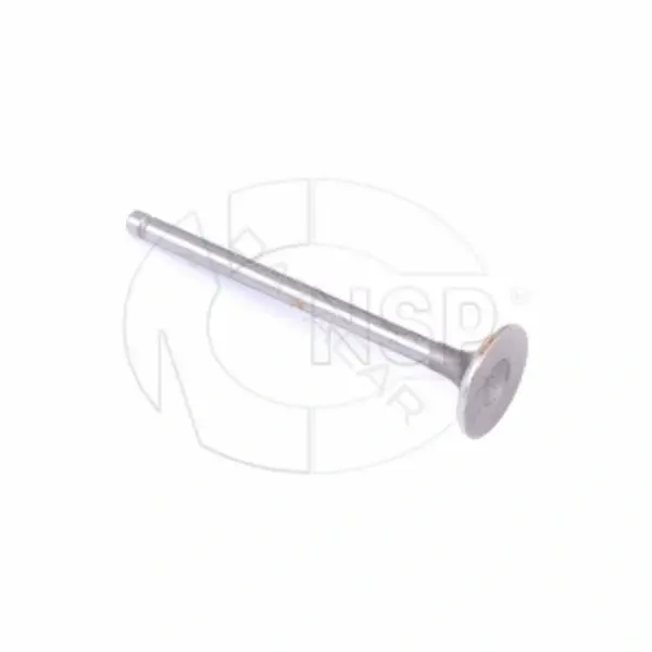 Впускной клапан NSP NSP0196440081