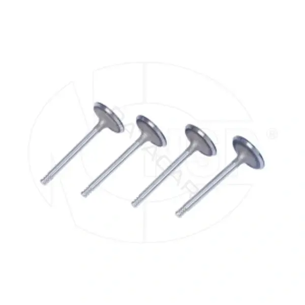 Впускной клапан NSP NSPRS76N12