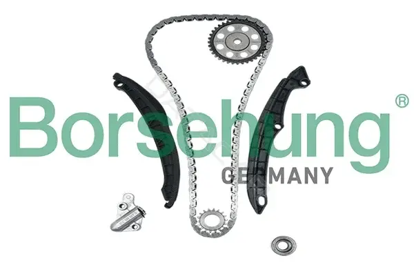 Комплект цепи ГРМ Borsehung B18475