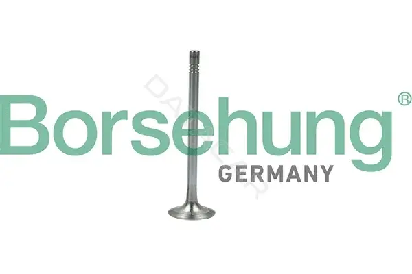 Выпускной клапан Borsehung B19007
