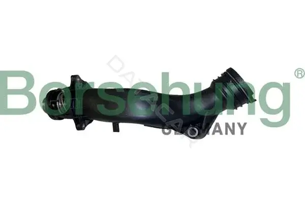 Термостат Borsehung B10560