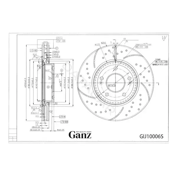 Тормозные диски GANZ GIJ10006S