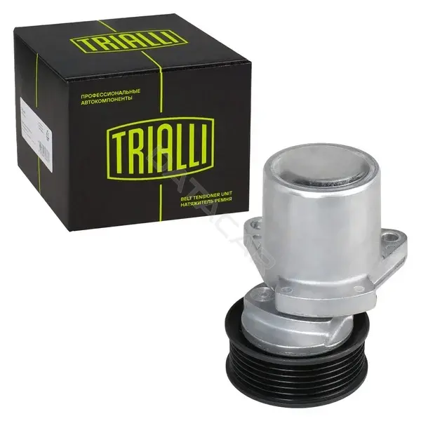 Натяжитель ремня генератора TRIALLI CM0933N