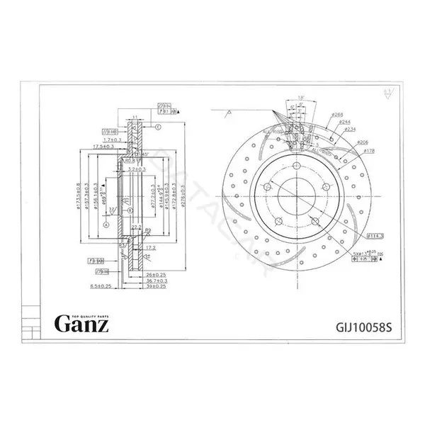 Тормозные диски GANZ GIJ10058S