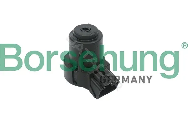 Контактная группа замка зажигания Borsehung B17994