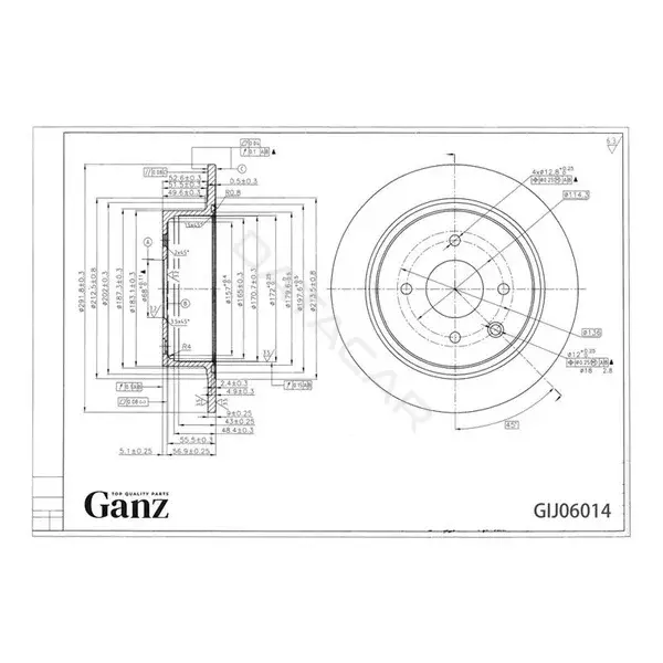 Тормозные диски GANZ GIJ06014