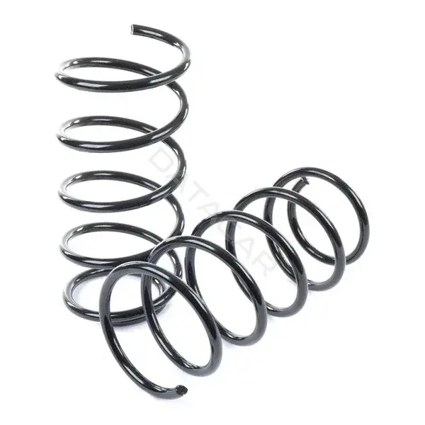 Пружины GANZ GIK02207
