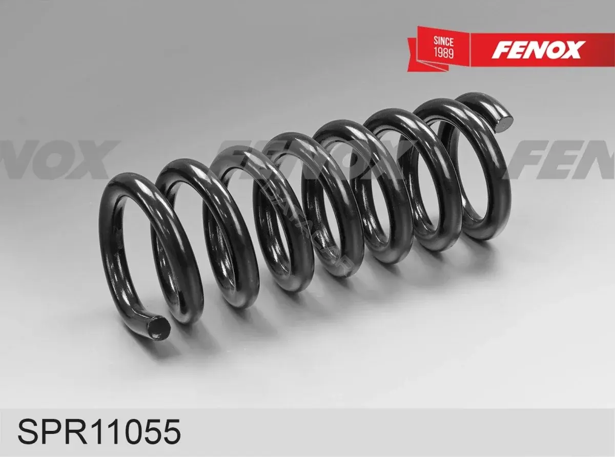 Пружины FENOX SPR11055