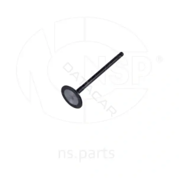 Впускной клапан NSP NSP02222112B400