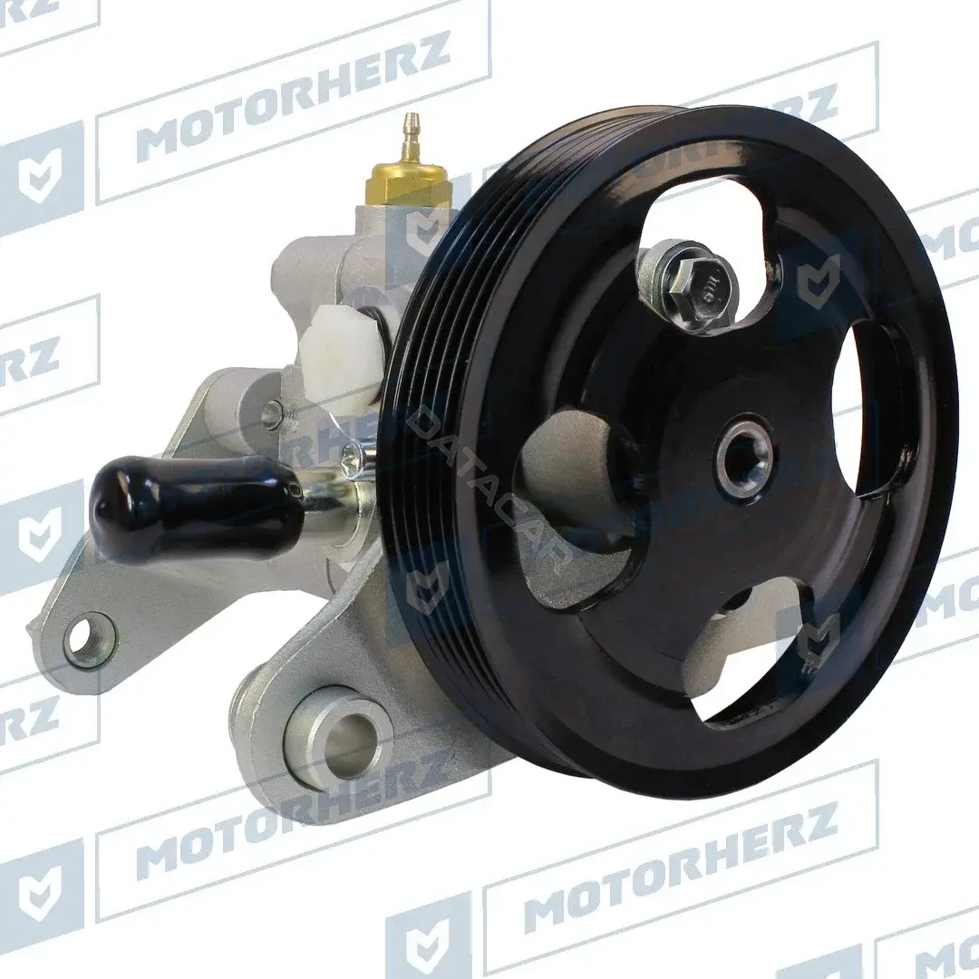 Насос гидроусилителя руля MOTORHERZ P1087HG