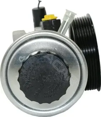 Насос гидроусилителя руля MOTORHERZ P1253HG