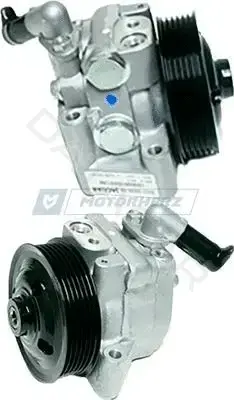 Насос гидроусилителя руля MOTORHERZ P1555HG