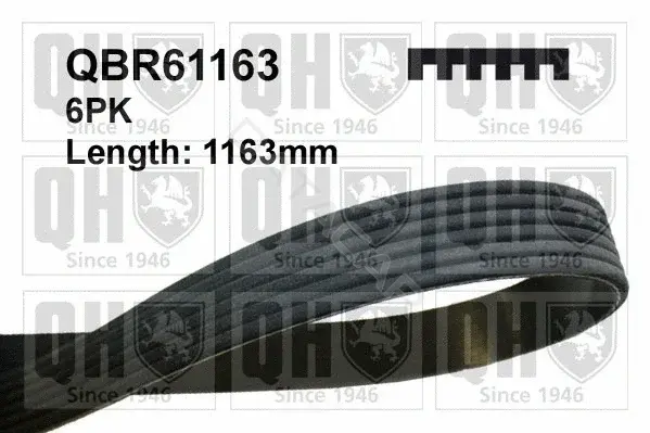Ремень ручейковый QUINTON HAZELL QBR61163