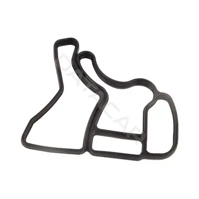 Прокладка масляного радиатора AUTOPA-BAPMIC BF0423480006