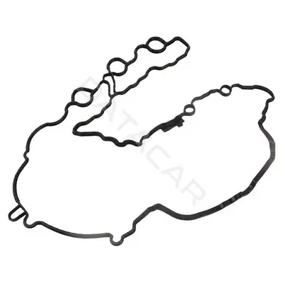 Прокладка клапанной крышки AUTOPA-BAPMIC BF0425420014