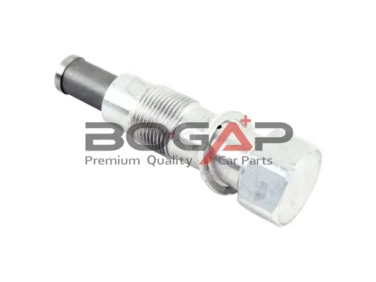Натяжитель цепи BOGAP B1312101