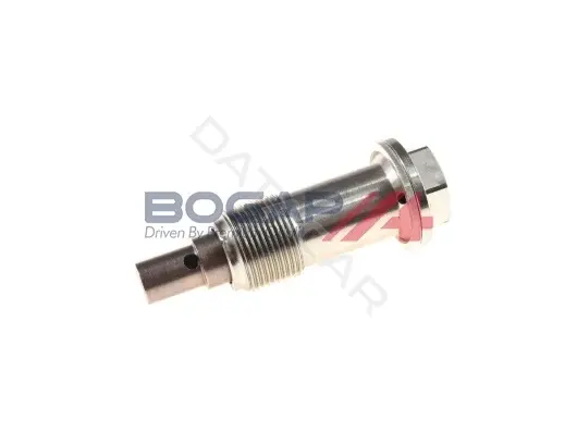 Натяжитель цепи BOGAP C1312104