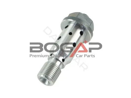 Клапан регулировки фаз газораспределения BOGAP C1340101