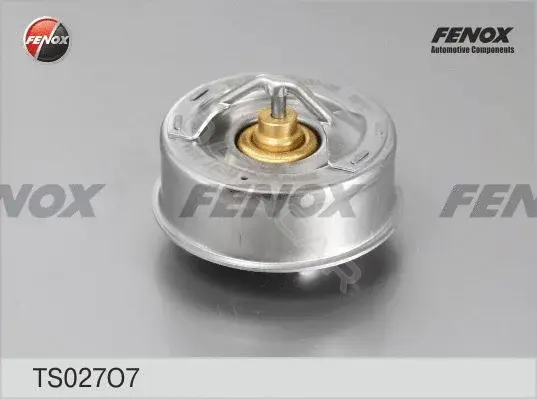 Термостат FENOX TS027O7