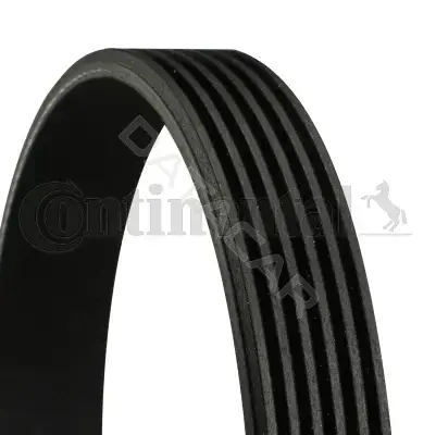 Ремень ручейковый CONTITECH 6PK751