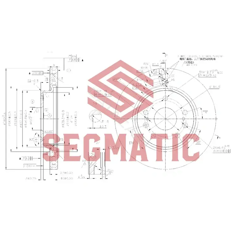 Тормозные диски SEGMATIC SBD30093125