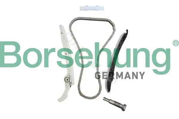 Комплект цепи ГРМ Borsehung B10237