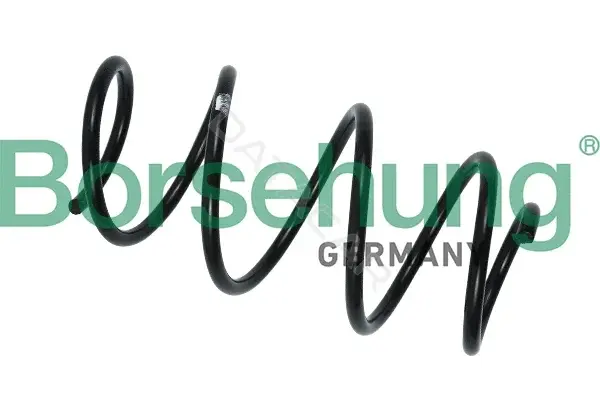 Пружины Borsehung B12563