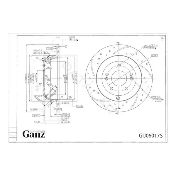 Тормозные диски GANZ GIJ06017S