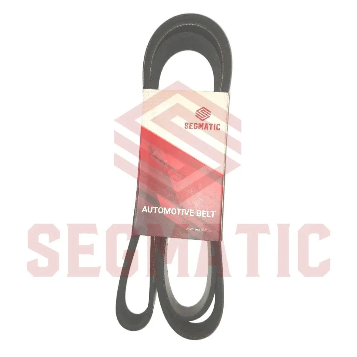 Ремень ручейковый SEGMATIC SGSB3005