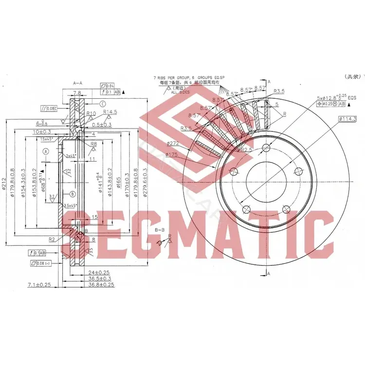Тормозные диски SEGMATIC SBD30093148