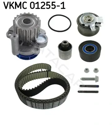 Комплект ГРМ с помпой SKF VKMC01255-1