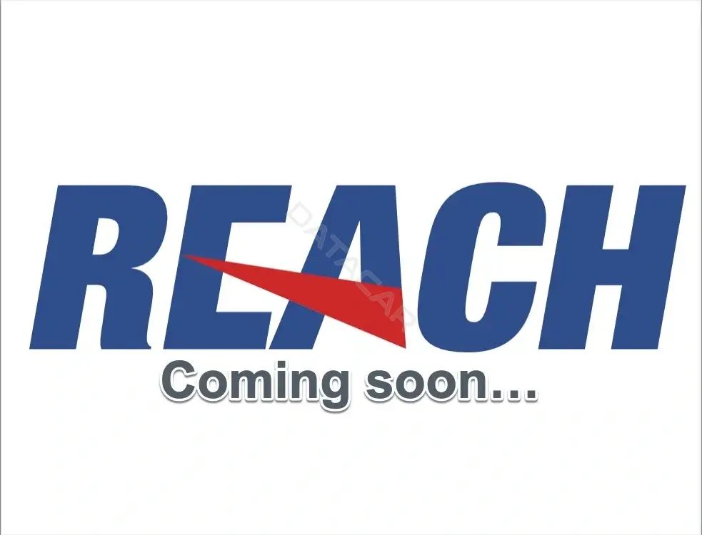 Моторчик печки REACH 1.16.12044