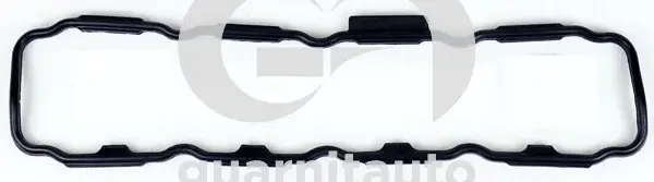 Прокладка клапанной крышки GUARNITAUTO 113758-8000