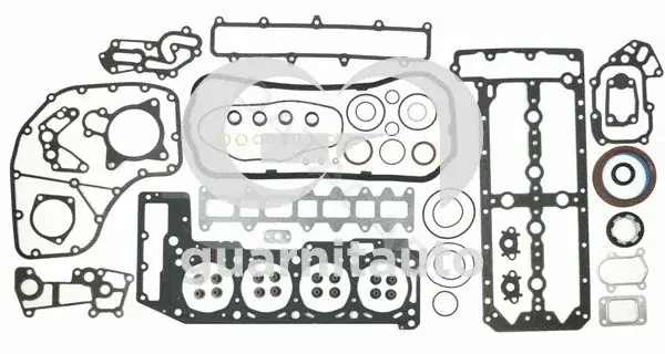 Комплект прокладок двигателя GUARNITAUTO 030952-1000