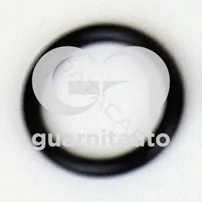 Прокладкa впускного коллектора GUARNITAUTO 183688-8000