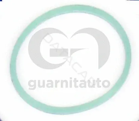 Прокладкa впускного коллектора GUARNITAUTO 184765-8300