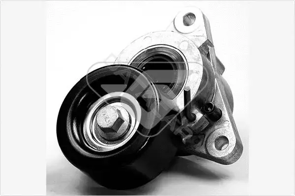 Натяжитель ремня генератора HUTCHINSON T0058