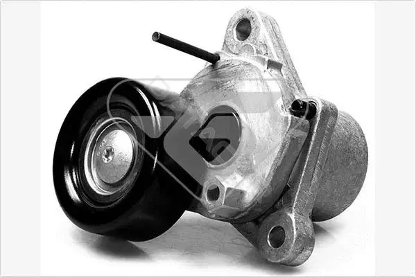 Натяжитель ремня генератора HUTCHINSON T0059