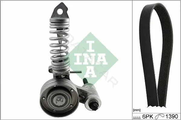 Ремень ручейковый INA 529032510