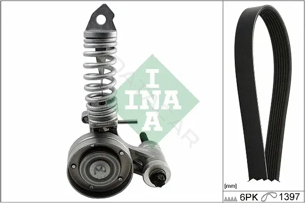 Ремень ручейковый INA 529032610