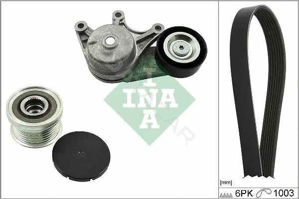 Комплект ручейкового ремня INA 529048320