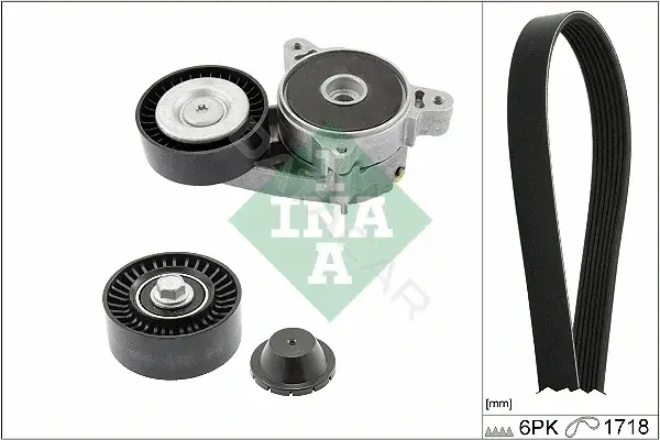 Комплект ручейкового ремня INA 529051510