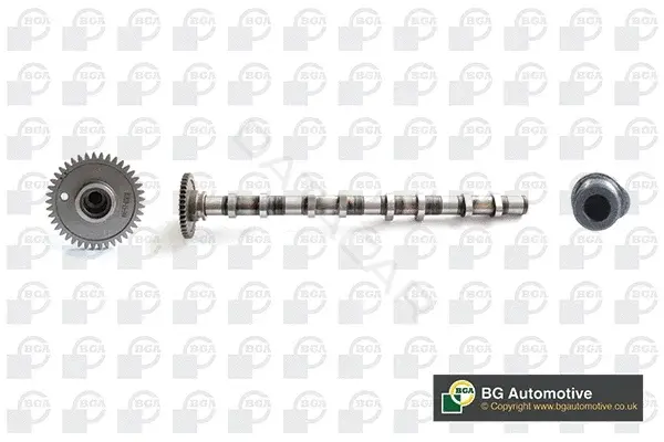 Распредвал BGA CS0905