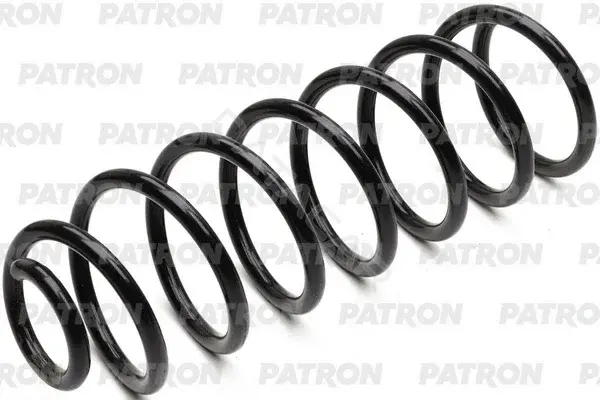 Пружины PATRON PCS950210