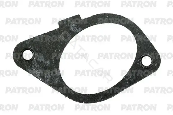 Прокладкa впускного коллектора PATRON PG5-1169