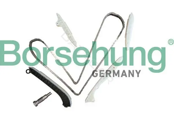 Комплект цепи ГРМ Borsehung B10238