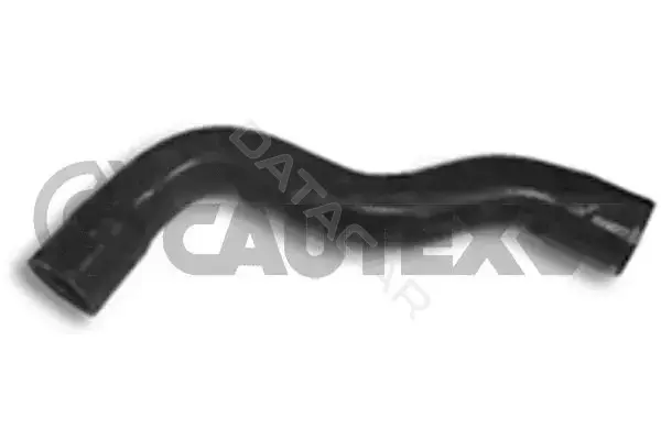 Патрубки системы охлаждения CAUTEX 036446