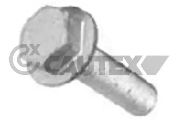 Болт шкива коленвала CAUTEX 757038
