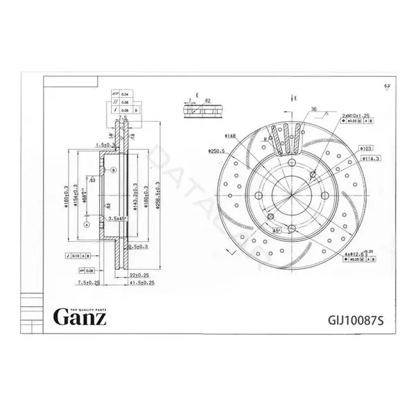 Тормозные диски GANZ GIJ10087S